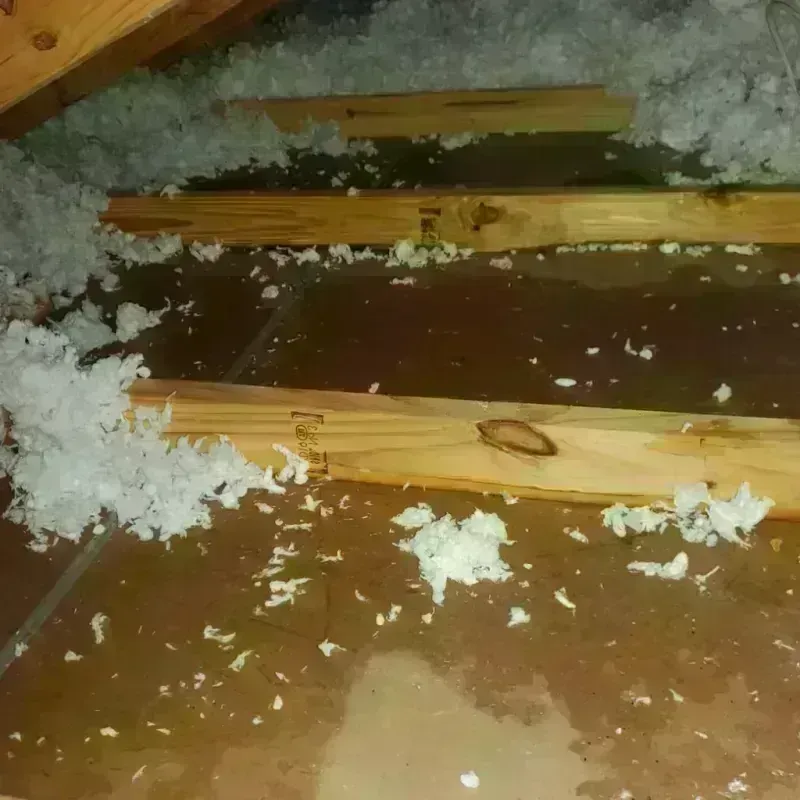 Attic Water Damage in Coarsegold, CA