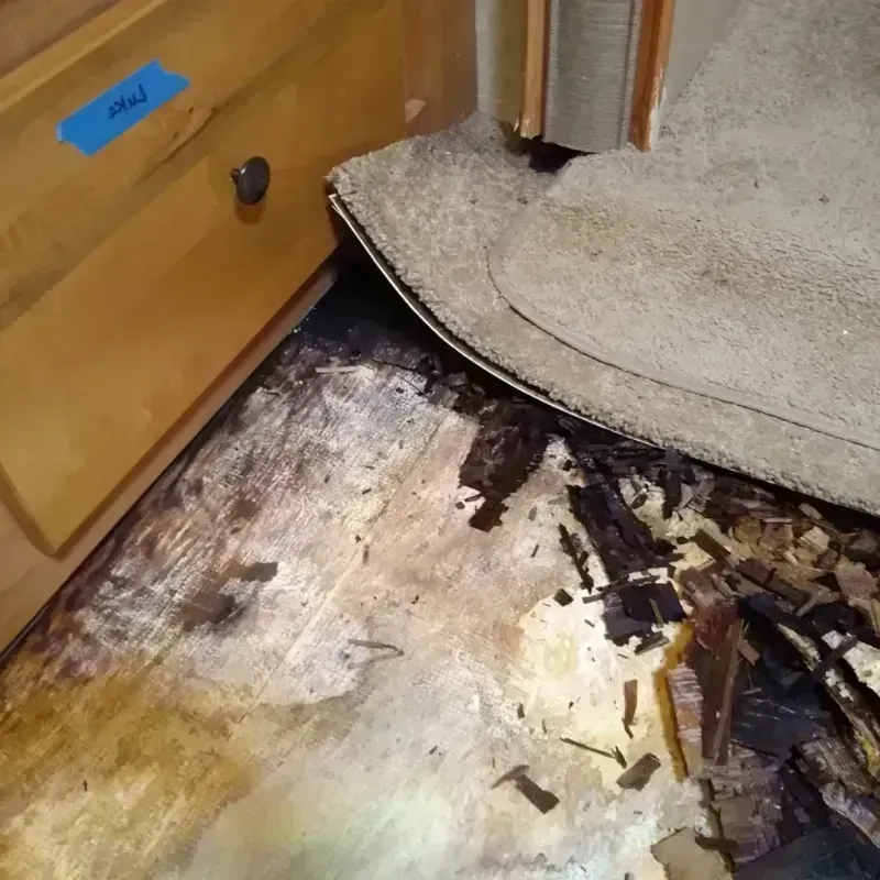 Wood Floor Water Damage in Coarsegold, CA